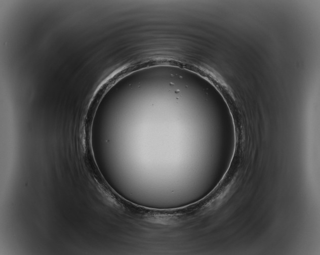 X0000085790782200703231307