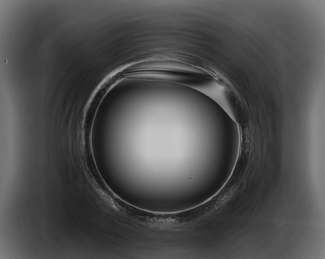 X0000085790784200703231307