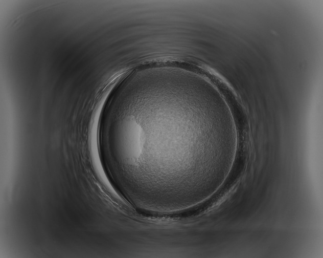 X0000085790785200703231307