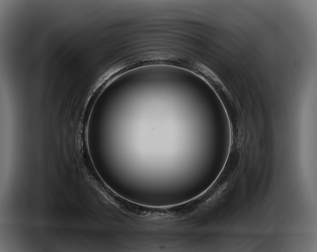 X0000085790786200703231307
