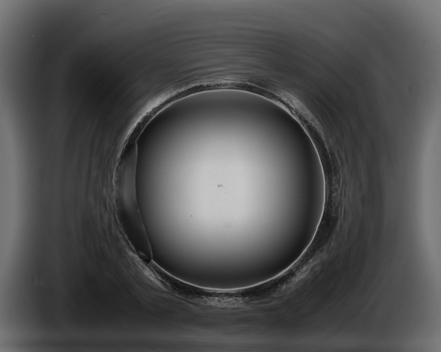X0000085790789200703231307