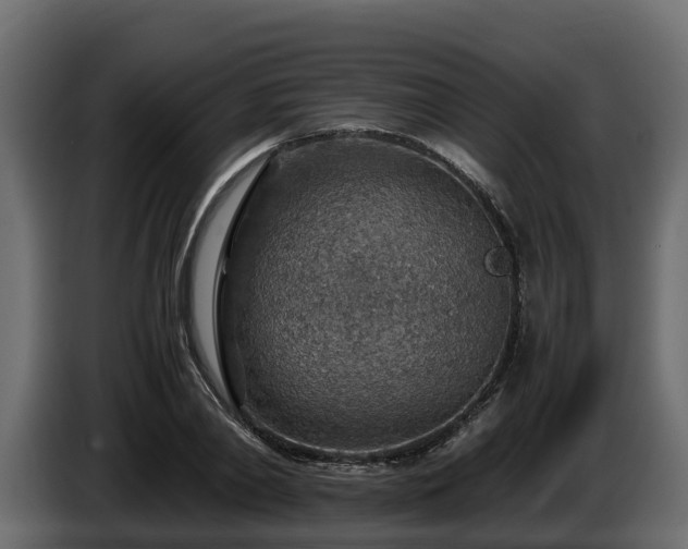 X0000085790790200703231307