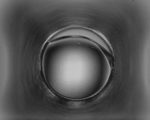 X0000085790791200703231307