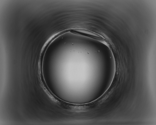 X0000085790796200703231307