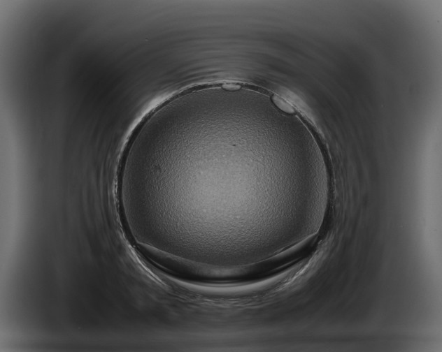 X0000085790797200703231307