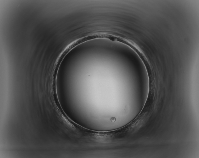 X0000085790799200703231307