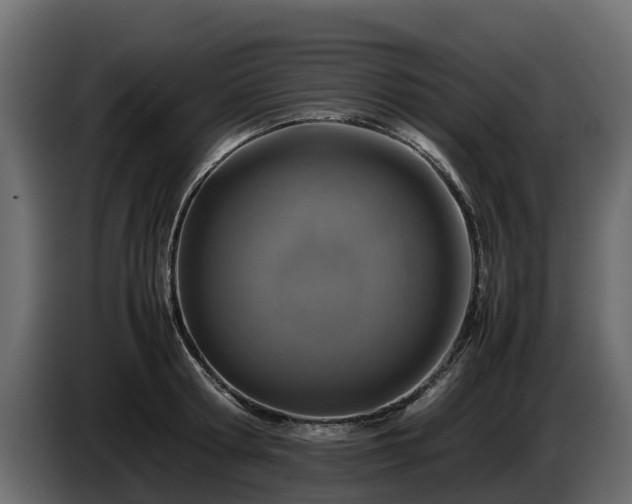 X0000085790802200703231307