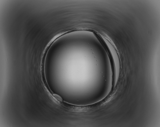X0000085790803200703231306