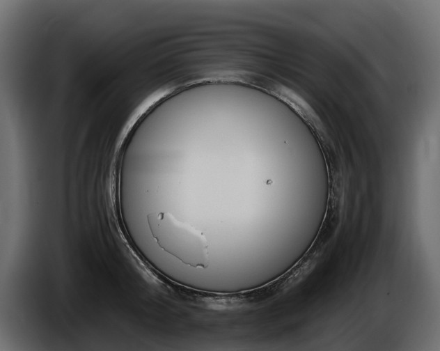 X0000085790804200703231306