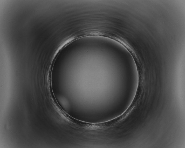 X0000085790806200703231306