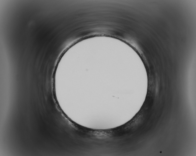 X0000085790807200703231306
