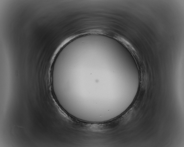 X0000085790808200703231306