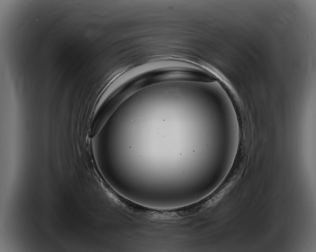 X0000085790809200703231306