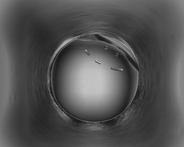 X0000085790811200703231306