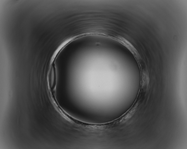 X0000085790812200703231306