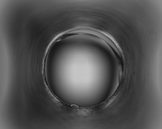 X0000085790815200703231306