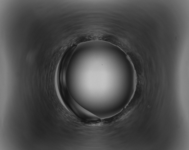 X0000085790818200703231306