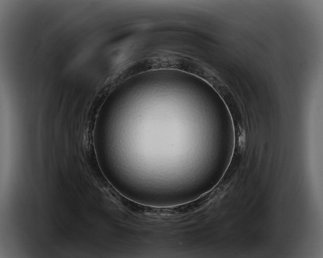 X0000085790819200703231306