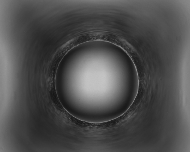 X0000085790821200703231306