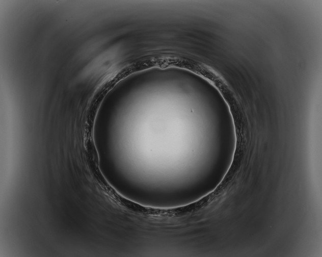 X0000085790823200703231306