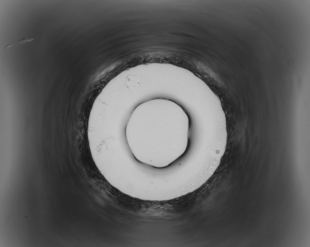 X0000085790824200703231306