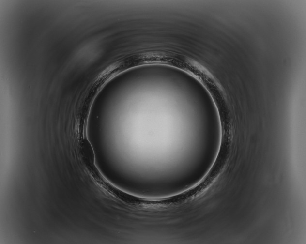 X0000085790825200703231306