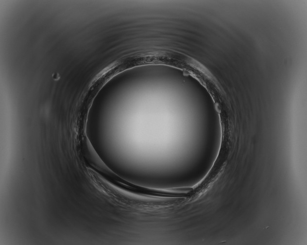 X0000085790826200703231306
