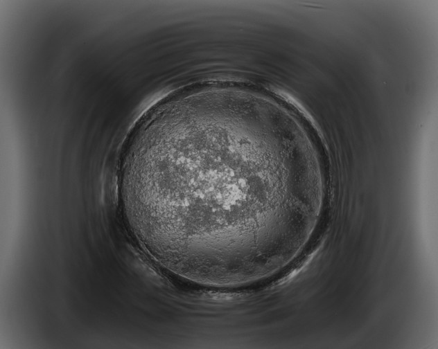 X0000085790829200703231306