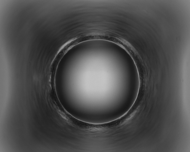 X0000085790830200703231306