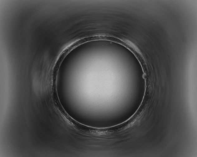 X0000085790831200703231306