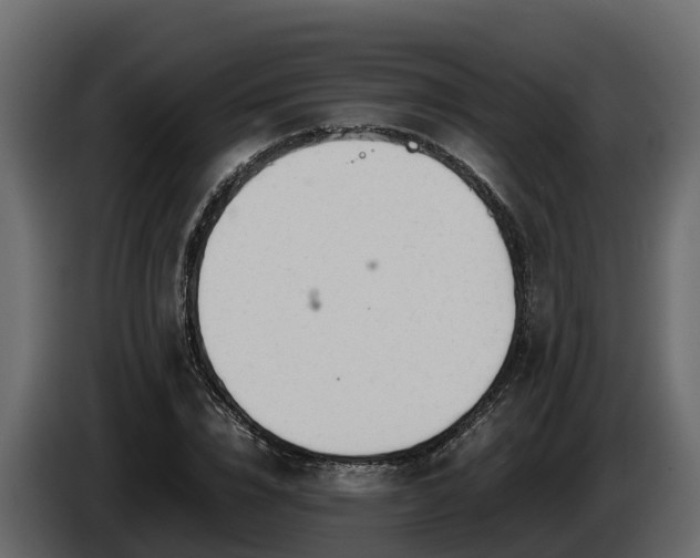 X0000085790832200703231306