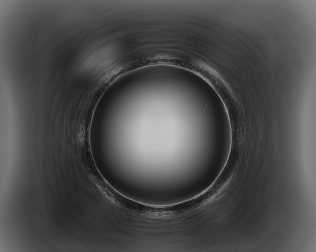 X0000085790833200703231306