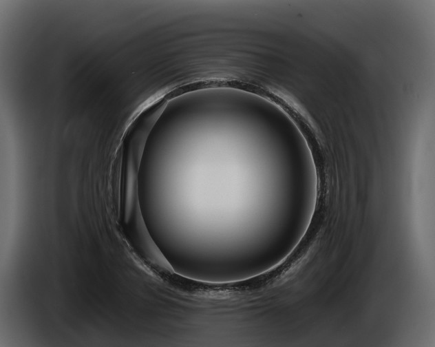 X0000085790834200703231306