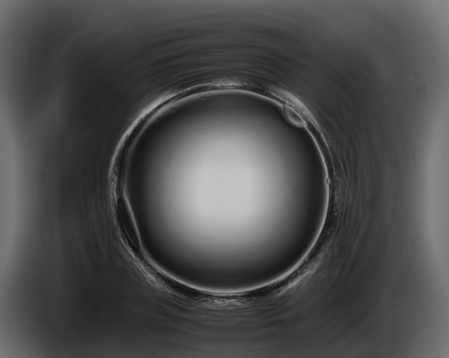 X0000085790835200703231306