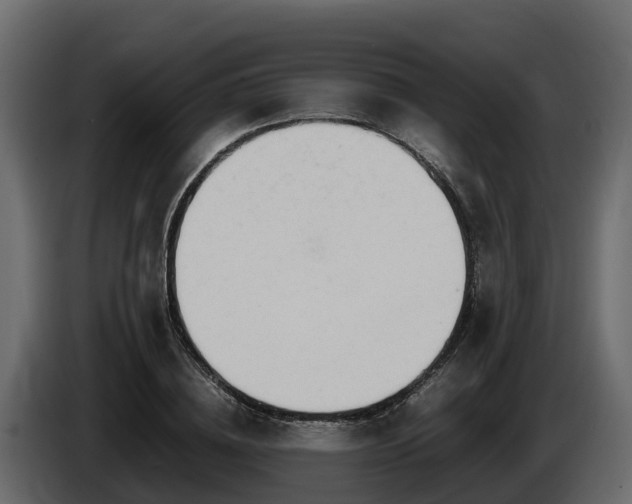 X0000085790836200703231306