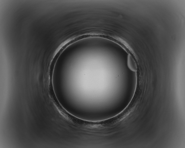 X0000085790837200703231306
