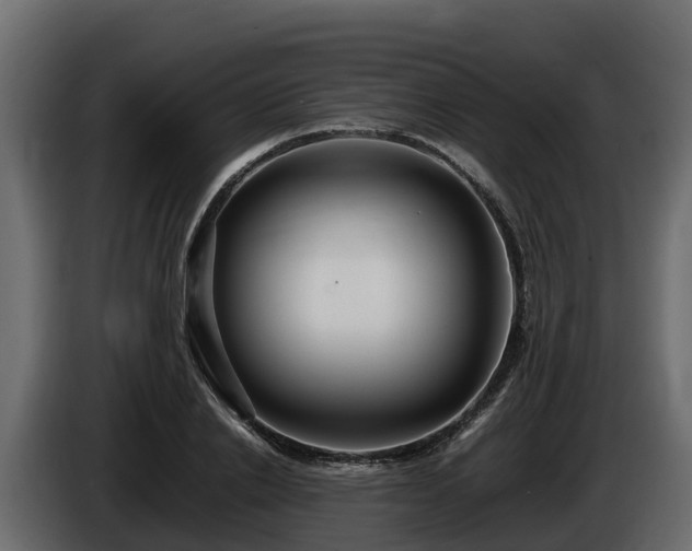 X0000085790838200703231306