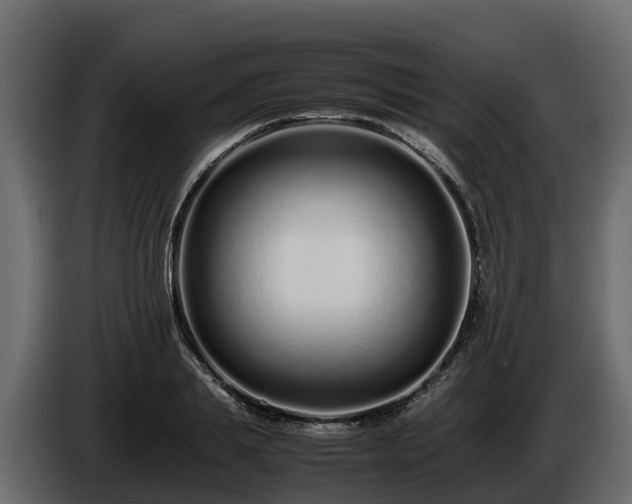 X0000085790839200703231306