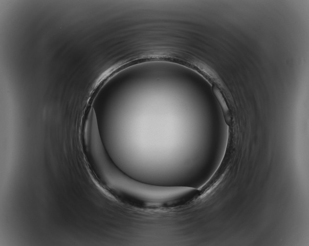 X0000085790842200703231306