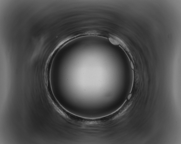 X0000085790843200703231306