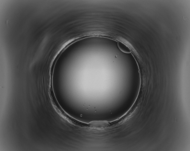 X0000085790844200703231306
