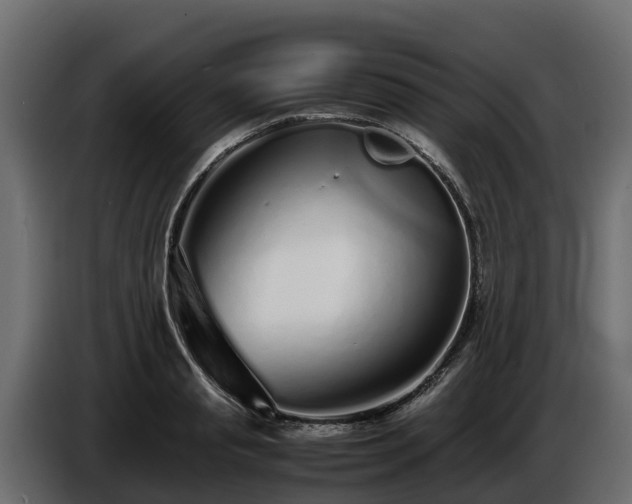 X0000085790845200703231306
