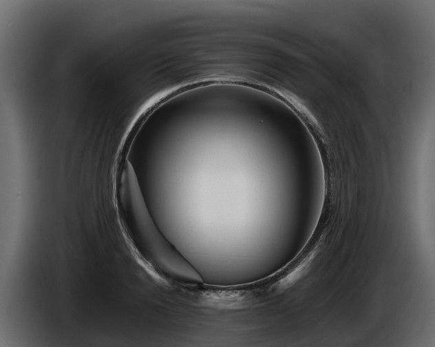 X0000085790846200703231306