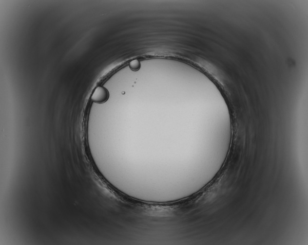 X0000085790848200703231306