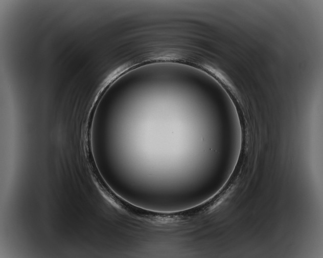 X0000085790850200703231306