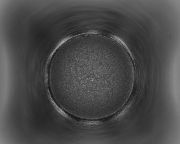 X0000085790851200703231306