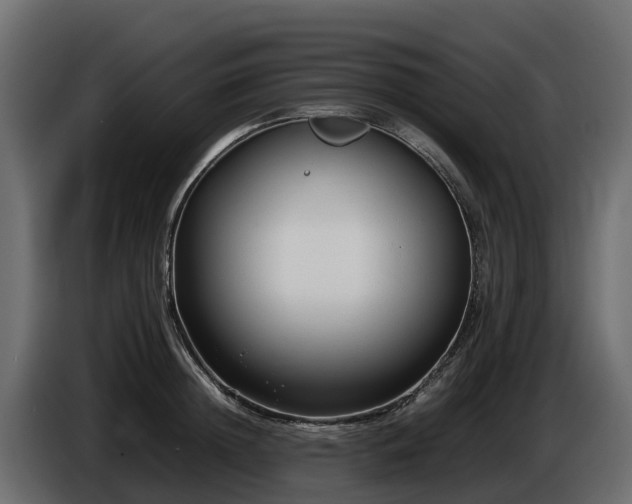 X0000085790852200703231306