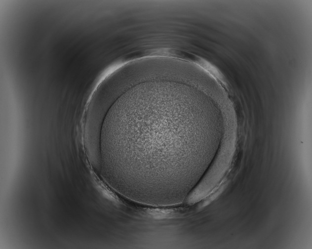 X0000085790854200703231306