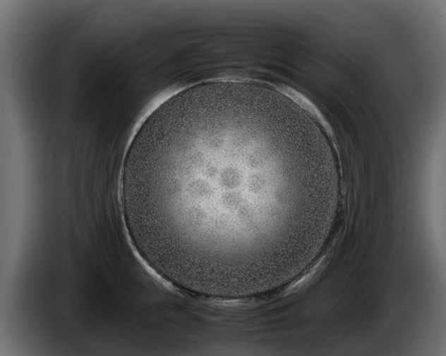 X0000085790855200703231306