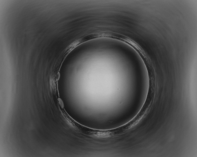 X0000085790857200703231306